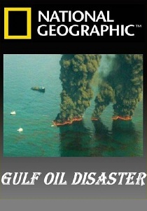 Катастрофа в Мексиканском заливе (2010)